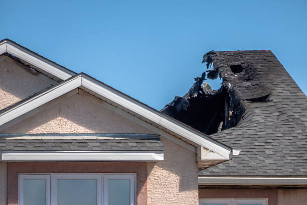 Top rated local Odor Removal specialists in Terra Ceia, FL